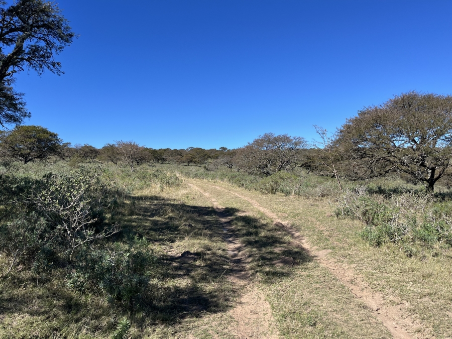 0 Bedroom Property for Sale in Stutterheim Rural Eastern Cape